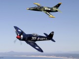 A2A_004 - different day, different formation - L39 with Frans Dely in the backseat and Sea Fury with Athol Frans in the backseat