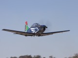 Silver Falcons-10