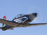 Silver Falcons-14