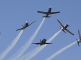Silver Falcons-16