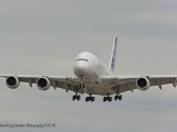 IMG_5537