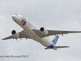 IMG_5548ap