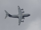 IMG_5204