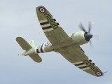 FL2006_025 - a Seafury