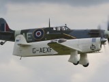 Dux2007_038 - the Mew Gull in formation with a Spitfire - compare the size!
