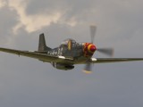Dux2007_047 - Mustang 