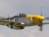 Dux2007_048 - Mustang 