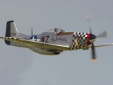 Dux2007_049 - Mustang