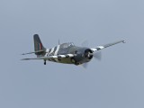 IMG_5148 - Wildcat