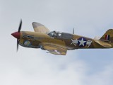 IMG_5217 - P40F Warhawk