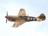 IMG_5218H - P40F Warhawk