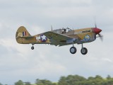 IMG_5240 - P40F Warhawk