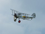 IMG_5361H - Gloster Gladiator