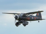 IMG_5386H - Lysander