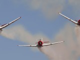 Eqstra Harvards 1