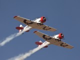 Eqstra Harvards 4