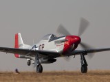 Mustang 1