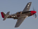 Mustang 4