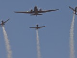 Silver Falcons18