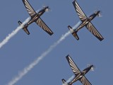 Silver Falcons19