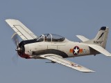 Trojan 1