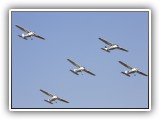 IMG_1550