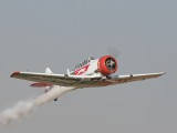 IMG_9483