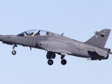 PE_008 - SAAF Hawk