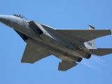 RIAT2006_009 - an F15 belting along at RIAT