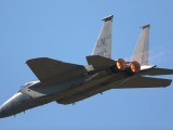 RIAT2006_068 - and the back view with afterburner going full tilt