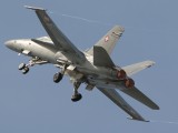 RIAT2007_050 - afterburner with vortex off the wingtips