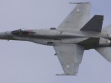 RIAT2009_165 - Finnish Air Force F18