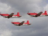 RIAT2009_192 - follow my leader