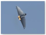 IMG_7252 - Lost in a haze of heat