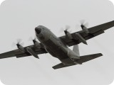 IMG_3694 - Lockheed C130J