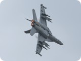 IMG_4176 - F18 Super Hornet