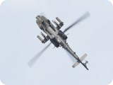 IMG_4820 - Apache
