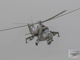 IMG_1196AP
