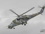 IMG_1206AP