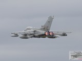 IMG_1298