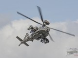 IMG_1865