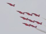 IMG_2311AP