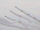 IMG_2317AP