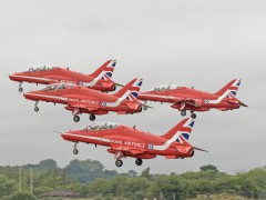 IMG_0343AP
