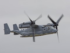 IMG_0454
