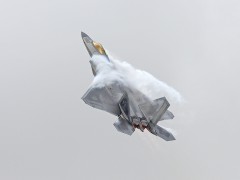 IMG_1235AP