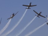 Swartkop_014 - the Silver Falcons break